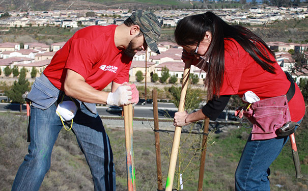 mercury emplyees planting a tree