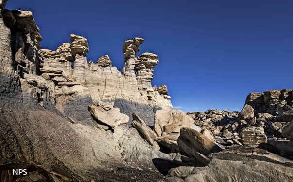 petrified forest national park in arizona