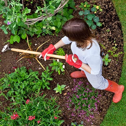 Woman cleaning landscaping