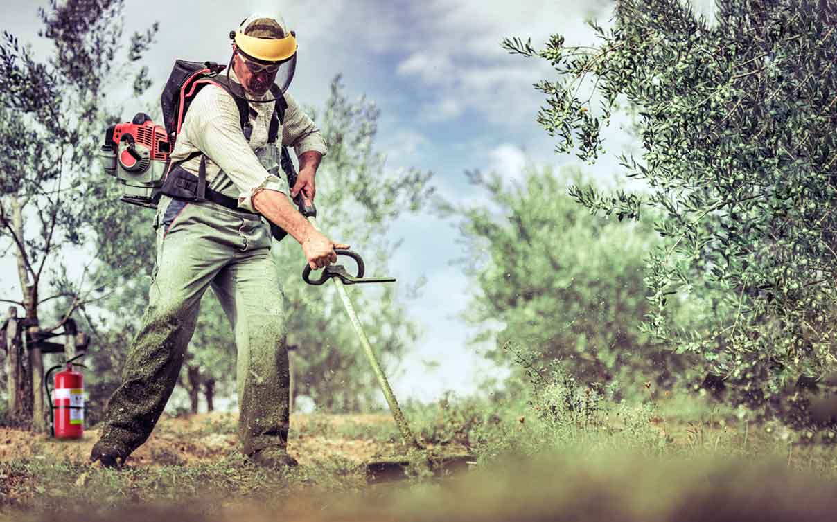 Man trimming weeds safely with protection on