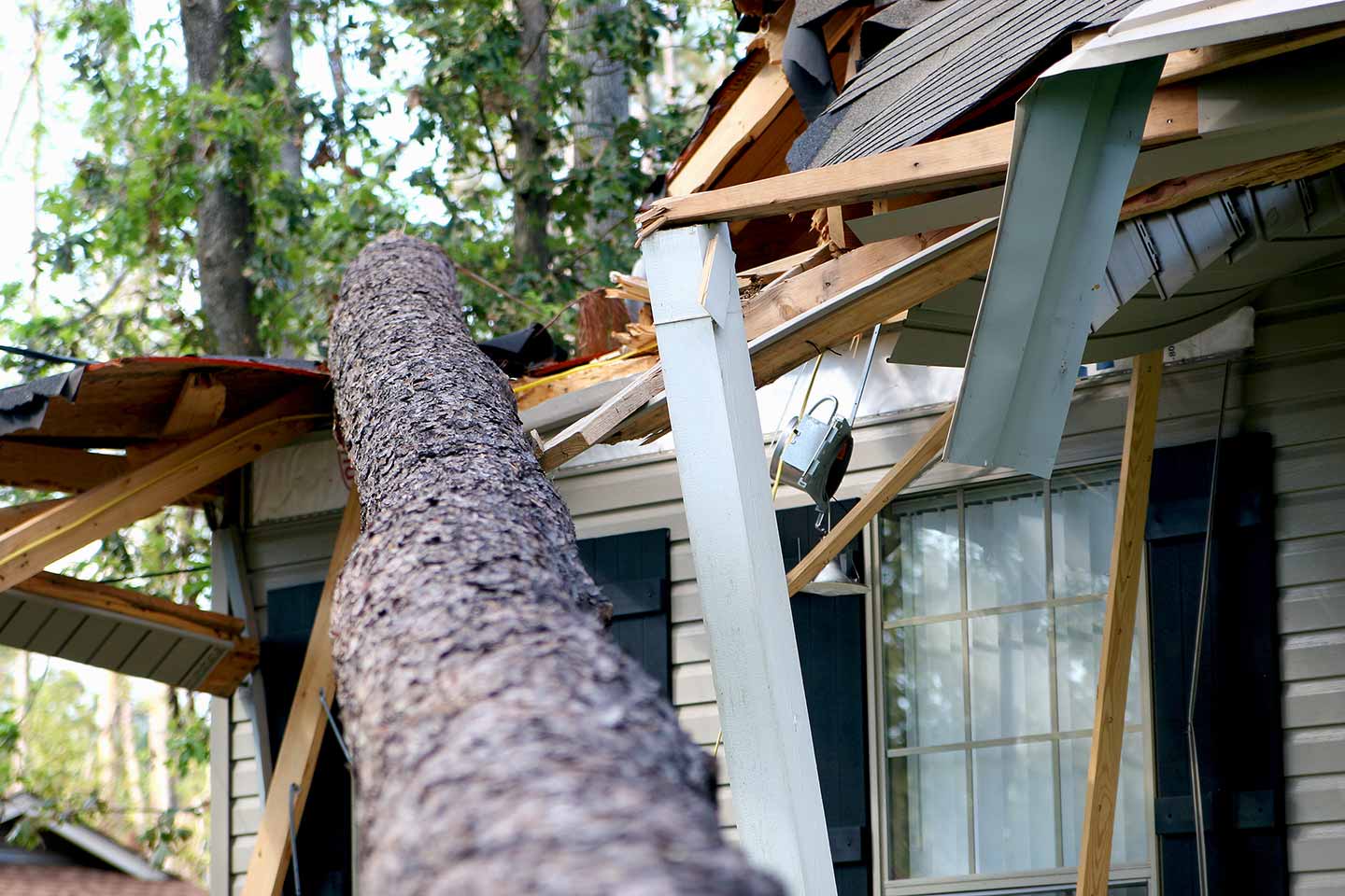 A tree is blown over into a damaged house