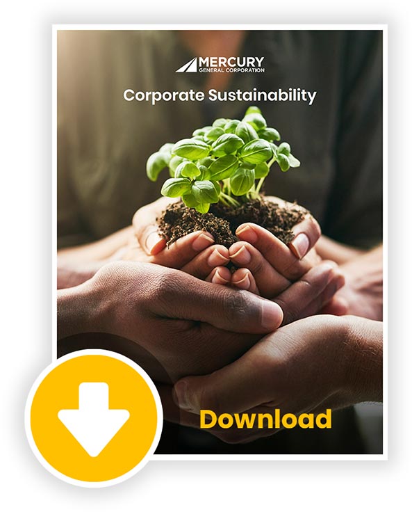 Mercury Corporate Sustainability Document