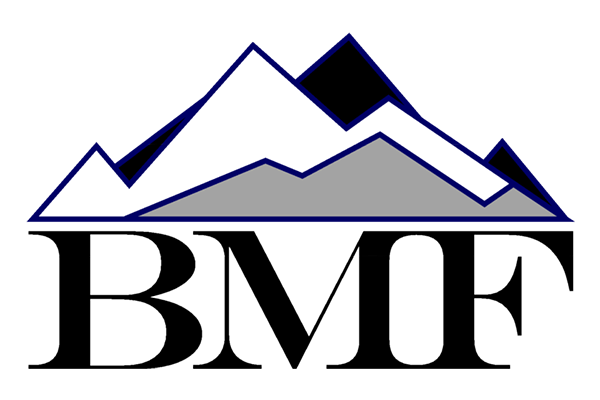 Bison Mountain Financial Logo