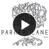 Listen to Parker Lane on Spotify